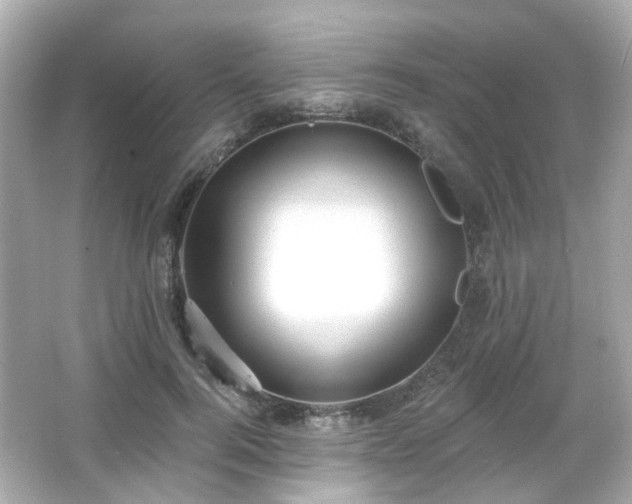 X0000065950744200603101356