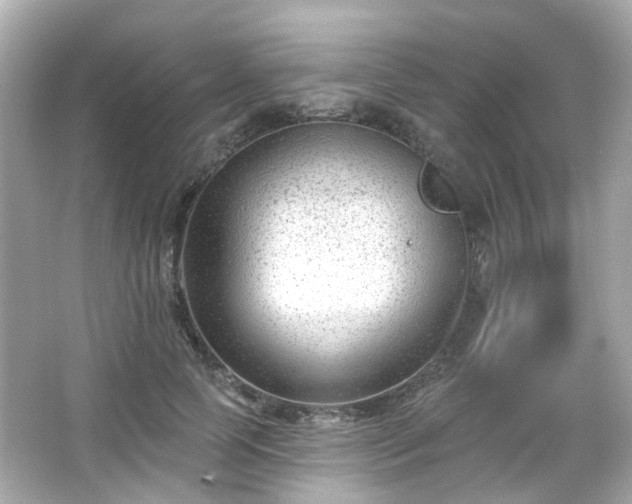 X0000065950745200603101356