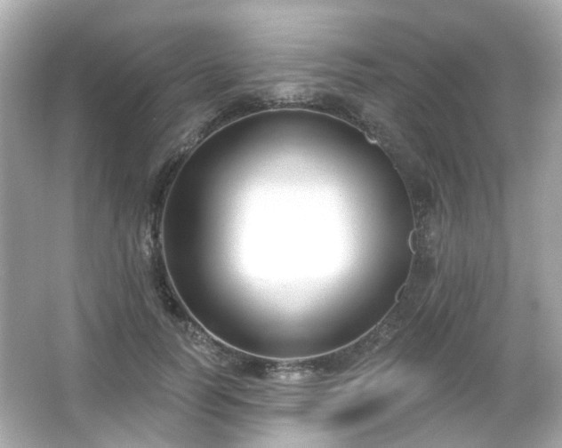 X0000065950746200603101356