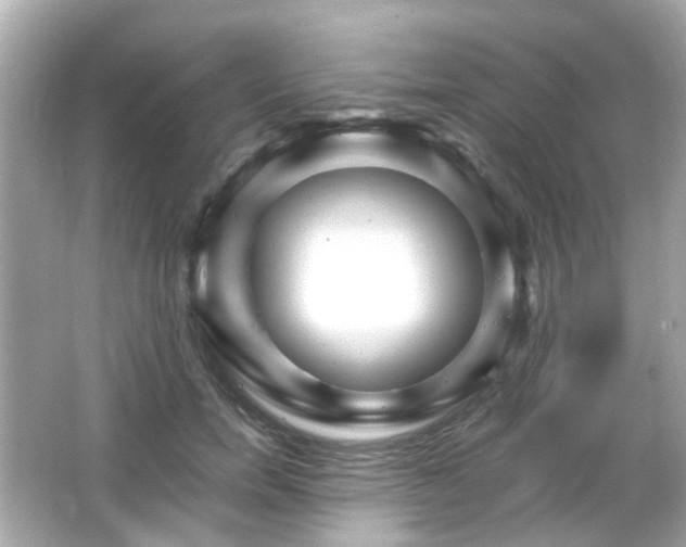 X0000065950750200603101356