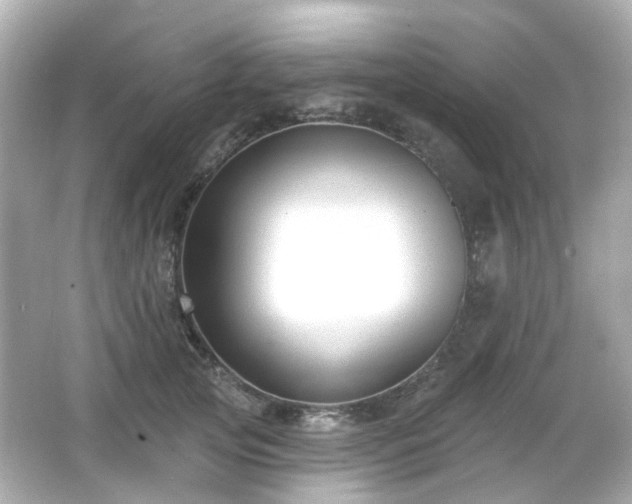 X0000065950753200603101356