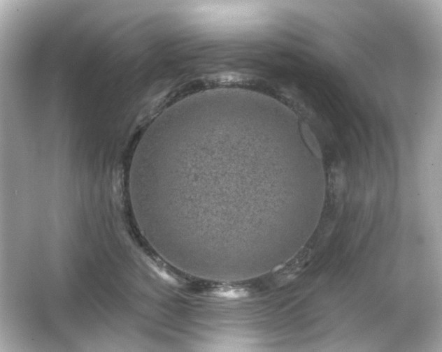 X0000065950760200603101356