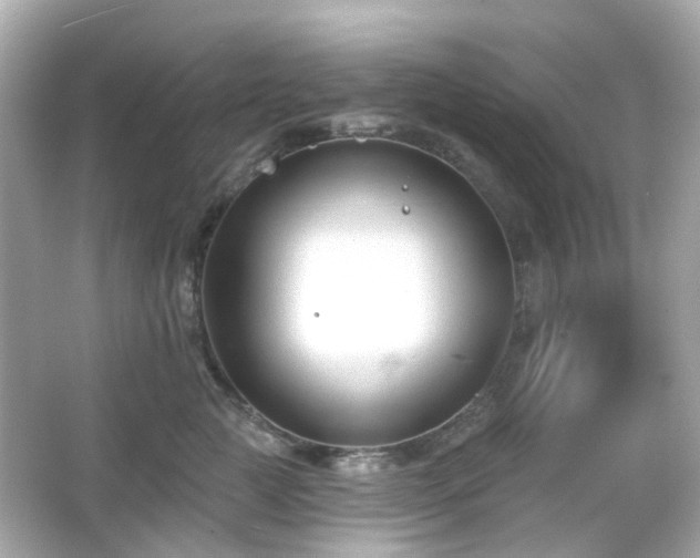 X0000065950761200603101356