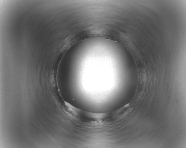 X0000065950764200603101356