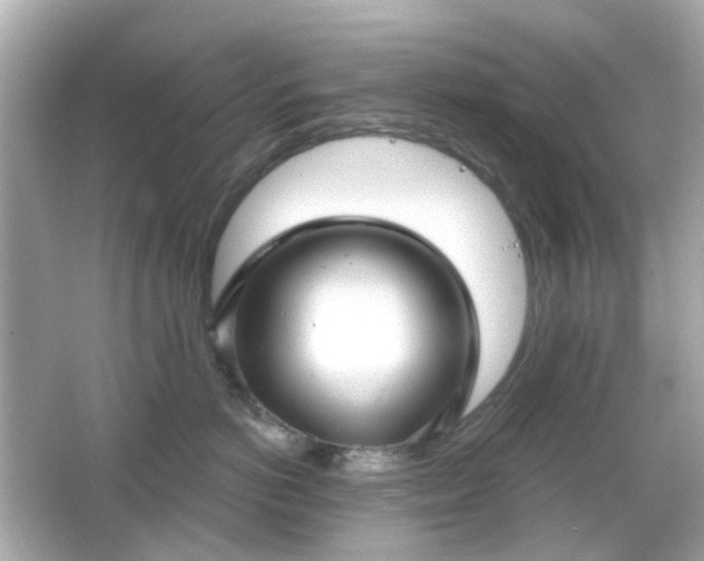 X0000065950766200603101356