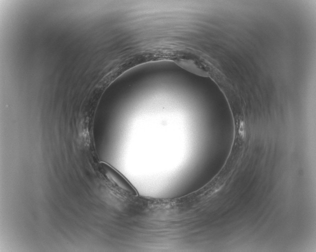 X0000065950771200603101355