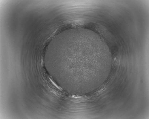 X0000065950772200603101355