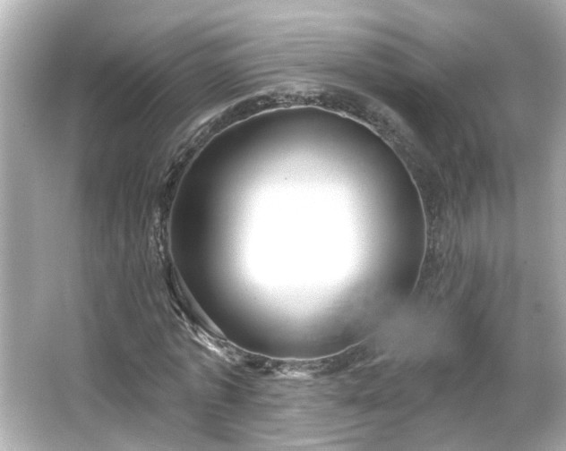 X0000065950773200603101355