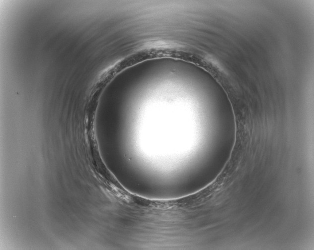 X0000065950775200603101355