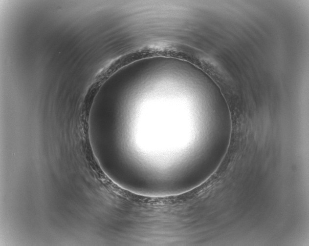X0000065950776200603101355