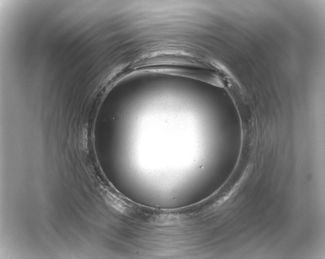 X0000065950777200603101355