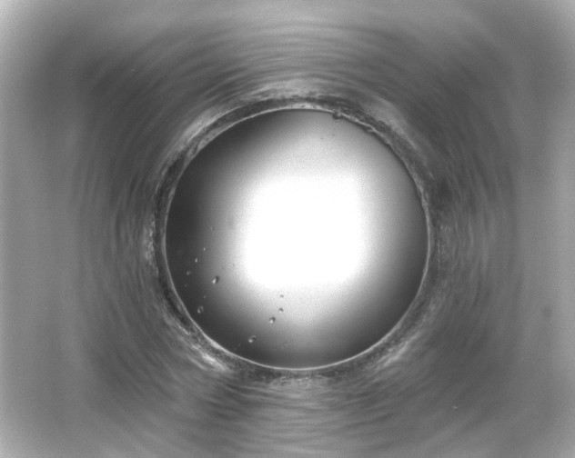 X0000065950778200603101355