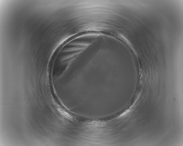 X0000065950779200603101355