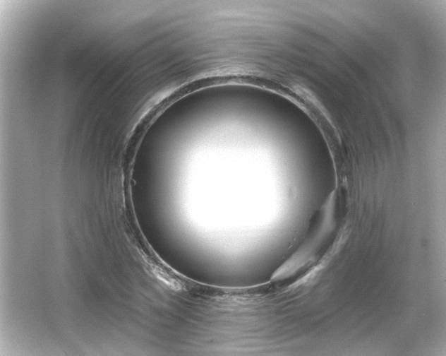 X0000065950781200603101355