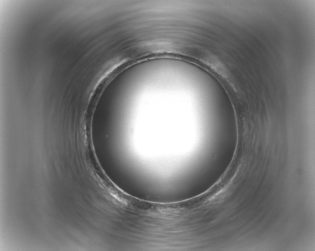 X0000065950782200603101355