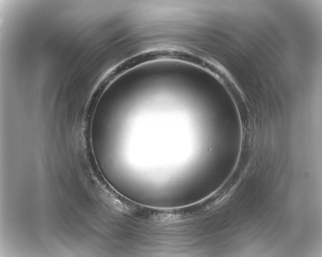 X0000065950783200603101355