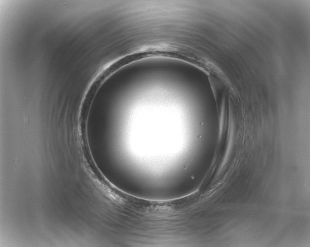 X0000065950784200603101355