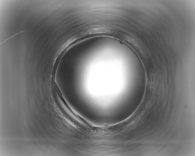 X0000065950786200603101355