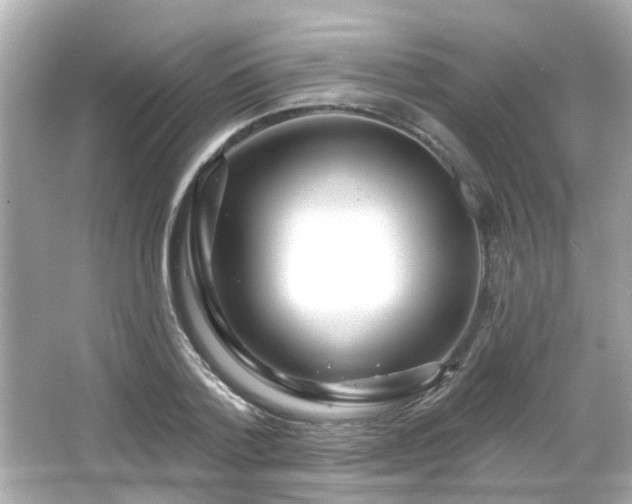 X0000065950788200603101355