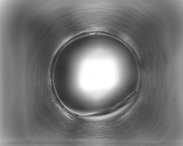 X0000065950789200603101355