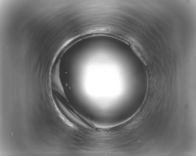 X0000065950792200603101355