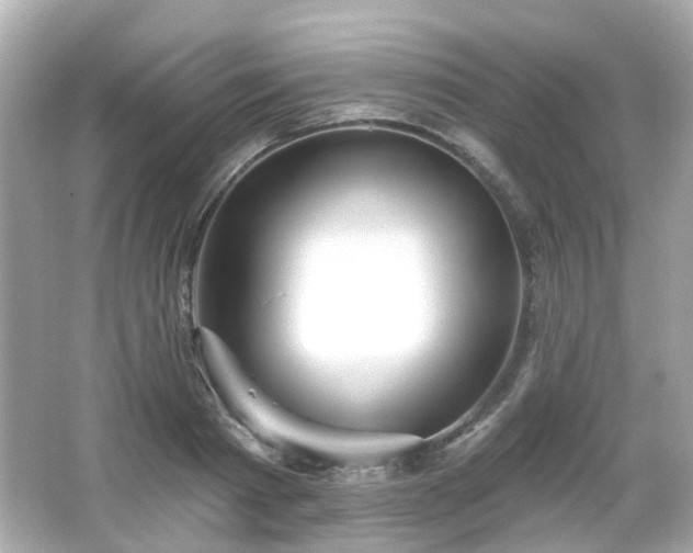 X0000065950793200603101355