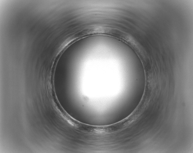 X0000065950794200603101355