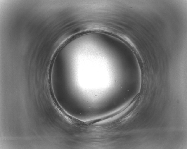 X0000065950799200603101355