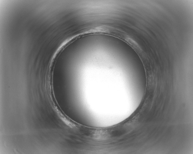 X0000065950800200603101355
