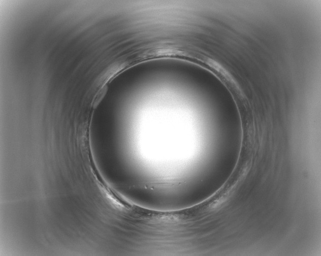 X0000065950801200603101355