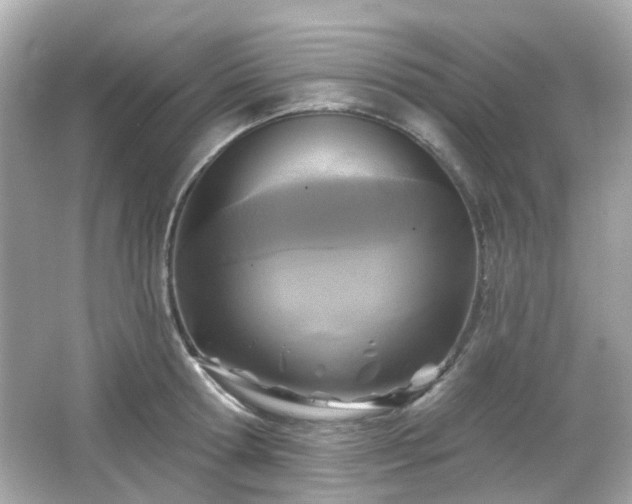 X0000065950802200603101355