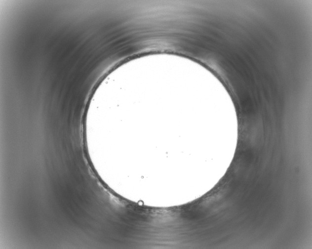 X0000065950807200603101355