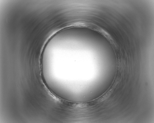 X0000065950808200603101354