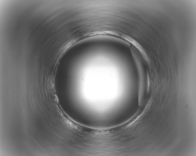 X0000065950809200603101354