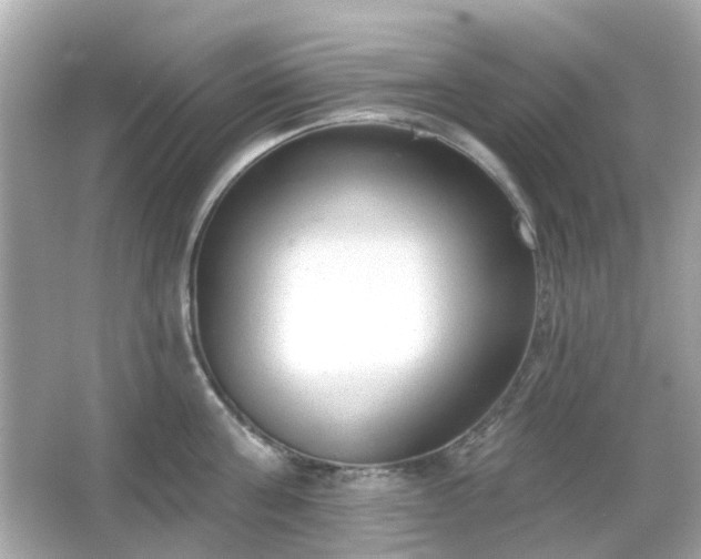 X0000065950811200603101354