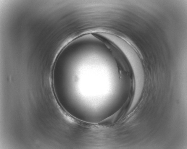 X0000065950813200603101354