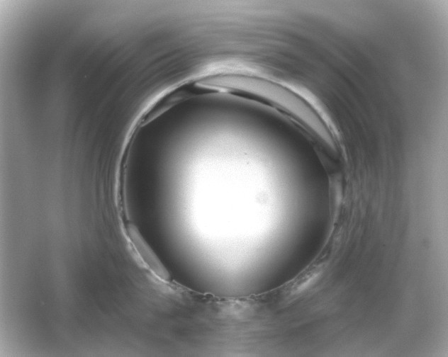 X0000065950815200603101354