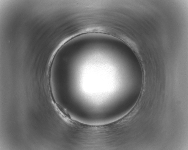 X0000065950816200603101354
