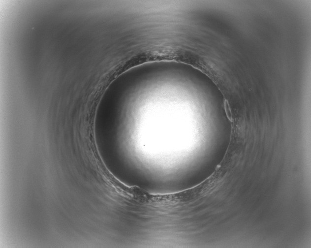 X0000065950817200603101354