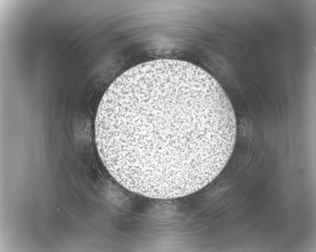 X0000065950820200603101354
