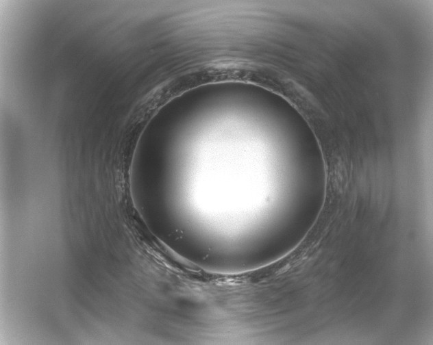 X0000065950821200603101354