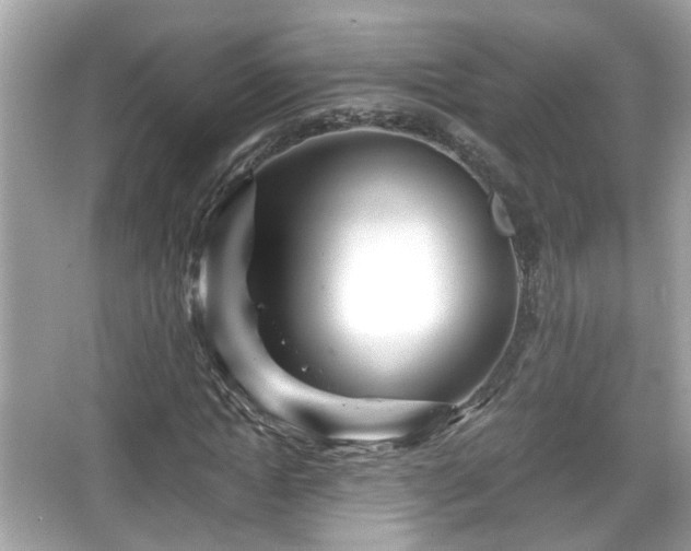 X0000065950822200603101354