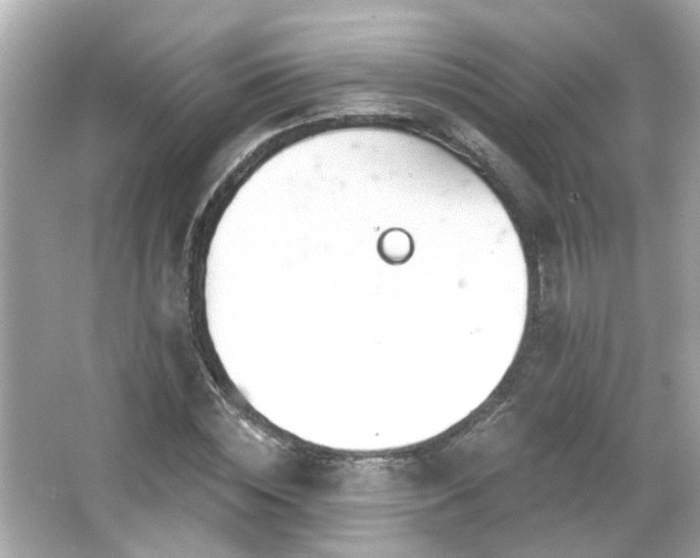 X0000065950828200603101354