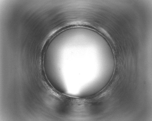 X0000065950831200603101354