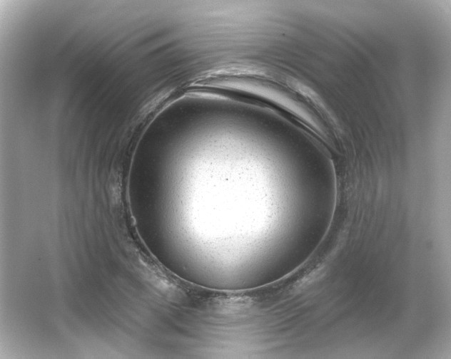X0000065950833200603101354