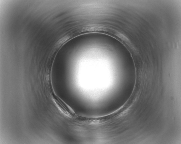 X0000065950841200603101354