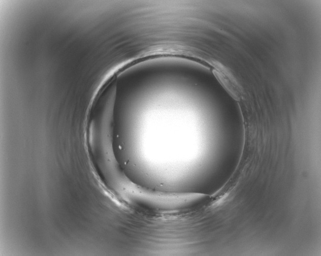 X0000065950846200603101354