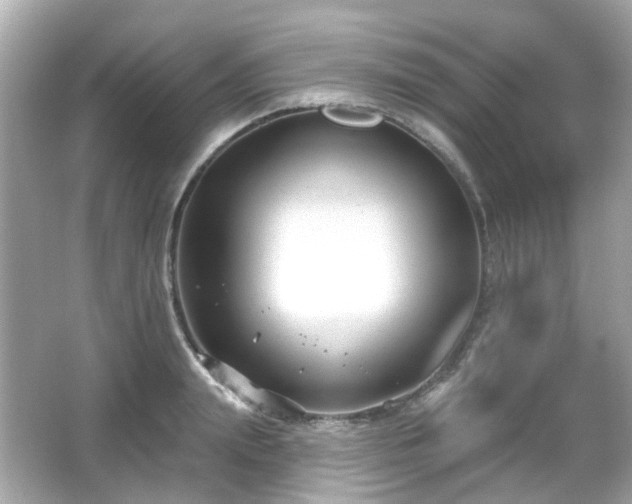 X0000065950847200603101354