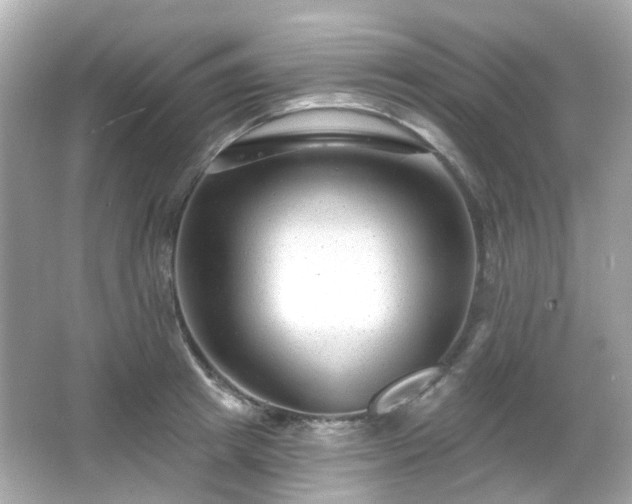 X0000065950849200603101354