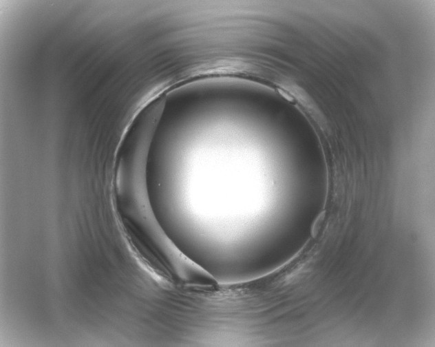X0000065950850200603101354
